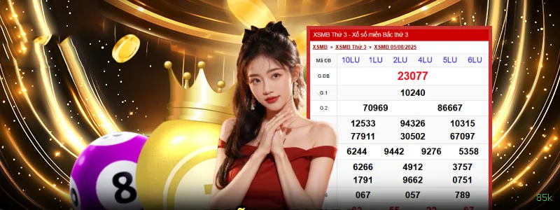 Guia rápido de apostas ao vivo na 85k